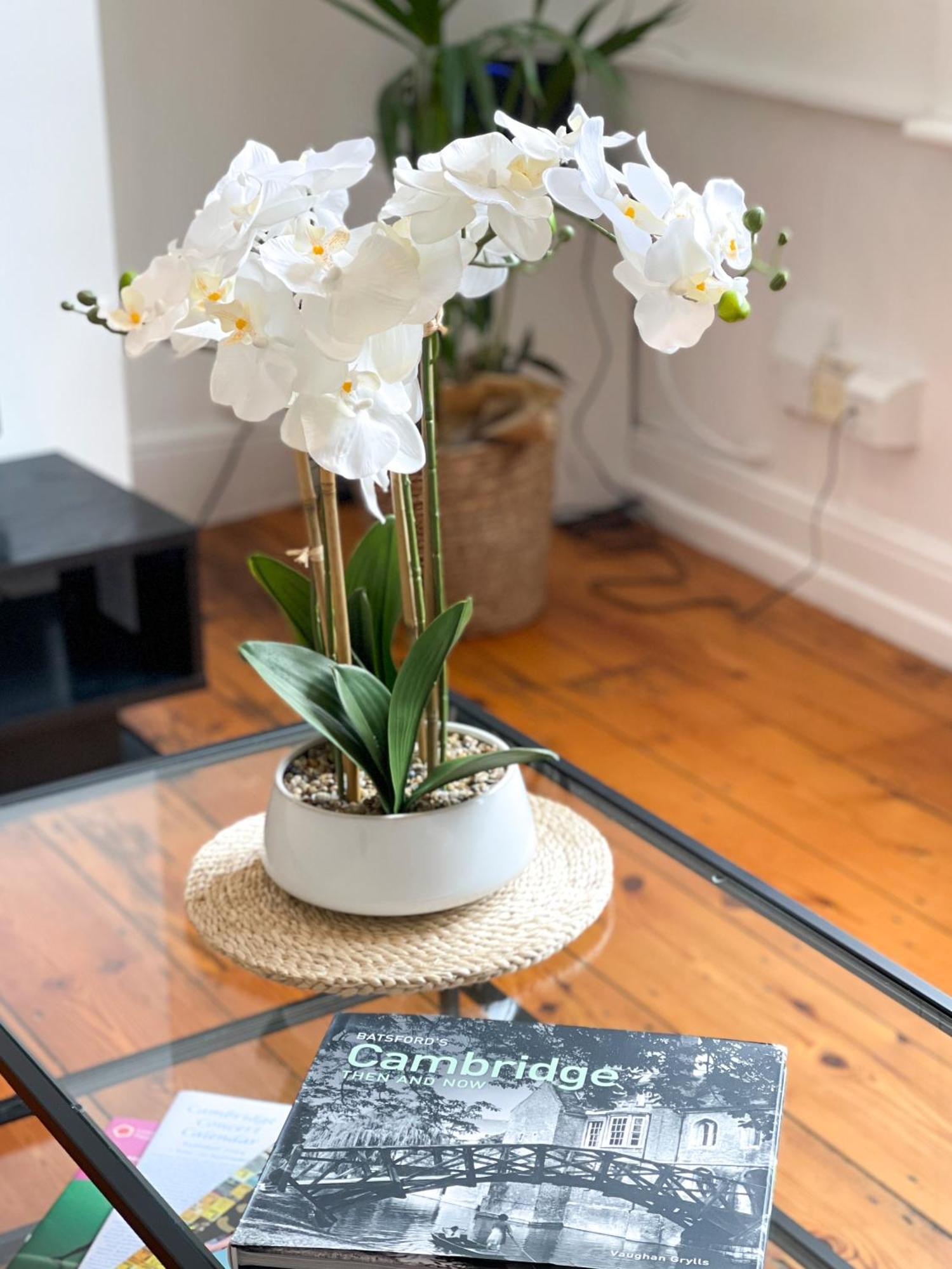 Fantastic Victorian House, Excellent City Location - Cambridge Homehost Dış mekan fotoğraf